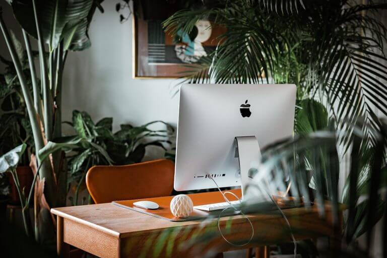 bureau vu de dos avec iMac et plantes vertes